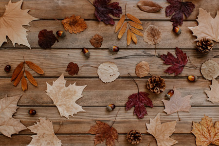 Autumn pattern composition. Dried leaves on wooden background. Autumn pattern design element. Flat lay, top view, copy spaceの写真素材