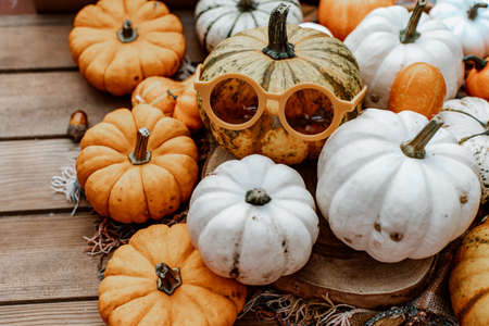 Autumn background with colorful pumpkins. Fall, Halloween and Thanksgiving concept.