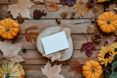 Autumn greeting card mock up. Blank card with pumpkin, autumn leaves, pine cone. Thanksgiving postcard template. Fall backgroundの写真素材