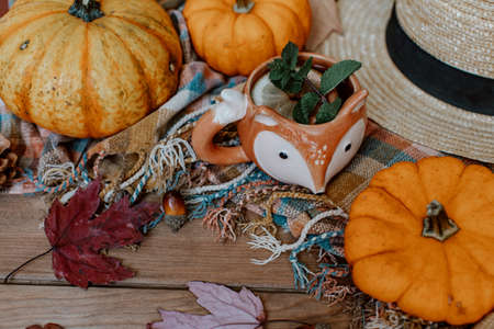 Autumn creative composition made of pumpkins, tea cup, dried leaves. Autumn, fall concept. Season backgroundの写真素材