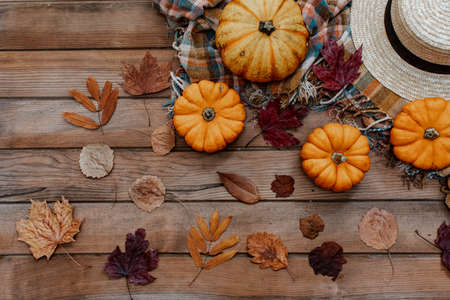 Flat Lay Autumn background decoration from dry leaves and pumpkin on wooden background. Top view for Autumn, fall, Thanksgiving concept.の写真素材