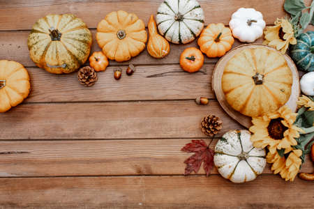Autumn composition. Frame made of fallen leaves and pumpkins on white background. Flat lay, top view. Hygge style, autumn fall concept.の写真素材