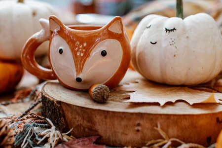 Thanksgiving Day. Autumn season. Cute white pumpkin. Harvest pumpkin. Fall backgroundの写真素材