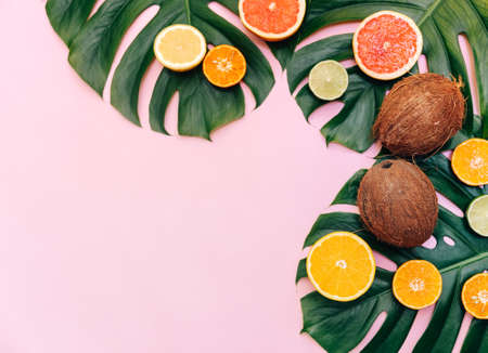 Monstera leaves and coconut on pink background. Flat lay, top view, copy space. Summer tropical backgroundの写真素材