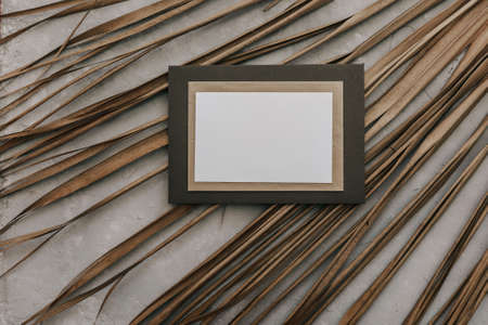 Minimal tropical mock up with white empty blanc card and palm leaves on stone background. Frame with empty place for text. Still life, summer conceptの写真素材
