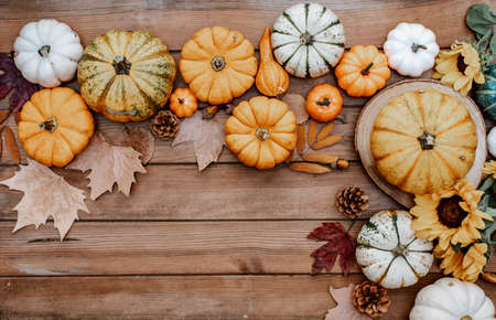 Autumn composition. Frame made of fallen leaves and pumpkins on white background. Flat lay, top view. Hygge style, autumn fall concept.の写真素材