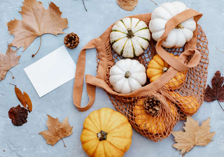 Autumn Leaves Composition with White Paper Sheet on Wooden Background, Top View of Set for Copy Space. Beautiful Autumn Foliage with Blank White Note Template for Greeting Card, Sale, Advertisingの写真素材