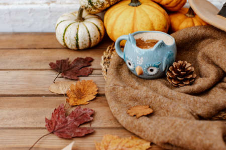 Autumn art composition - hot drink, varied dried leaves, pumpkins on wooden background, cozy autumnの写真素材