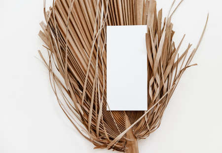 Summer stationery minimal mock-up. Blank card, palm leaves, beige textured table background. Wedding mock up. Flat lay, top viewの写真素材