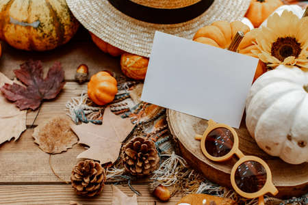 Autumn greeting card mock up. Blank card with pumpkin, autumn leaves, pine cone. Thanksgiving and Halloween postcard template. Fall backgroundの写真素材