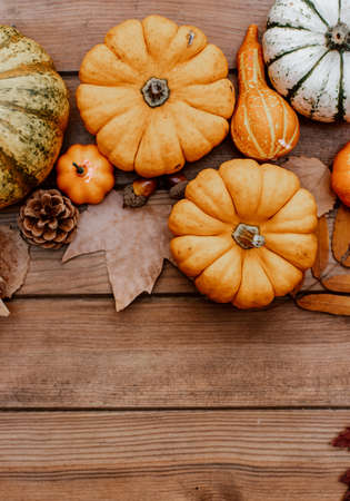 Thanksgiving flat lay. Pumpkins, autumn leaves on rustic wood with space for text. Happy Thanksgiving and Halloween template. Hello Autumn. Harvestの写真素材
