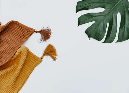 Two blankets and monstera leaf on white background, minimal simple backgroundの写真素材