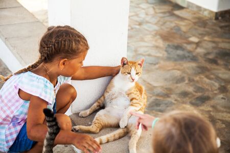 Little girl touching white cat sitting near the wallの写真素材