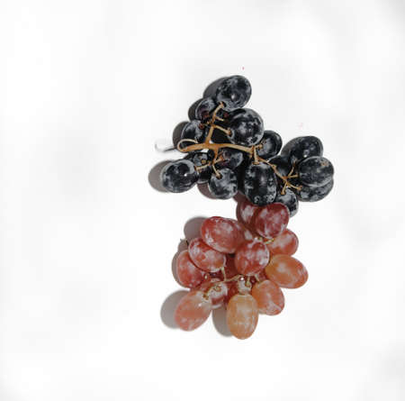 two types of grapes on a white background with a place for tex