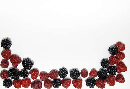 RASPBERRY AND BLACKBERRY on a white background with space for the text