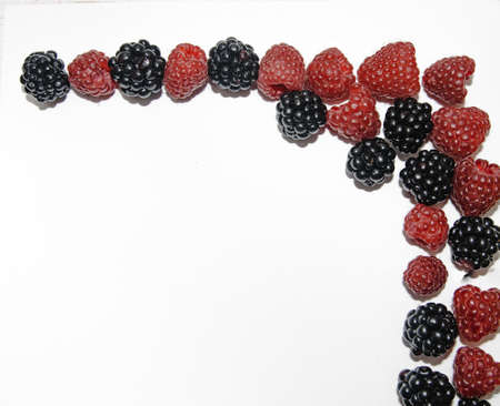 RASPBERRY AND BLACKBERRY on a white background with space for the textの写真素材