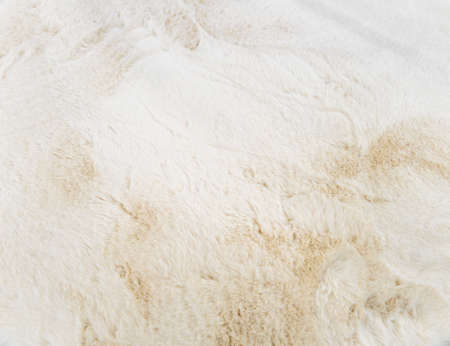 fabric background textile carpet, abstraction. wooden slats for construction and home decoration. sawn boardの写真素材