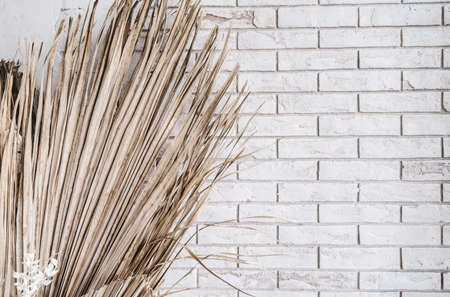 Decorations from dry beautiful flowers in a white vase on a beige fabric background. Home room decorationの写真素材