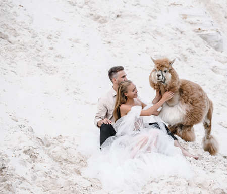 Beautiful wedding couple bride and groom at wedding day outdoors at ocean beach. Happy marriage couple oの写真素材