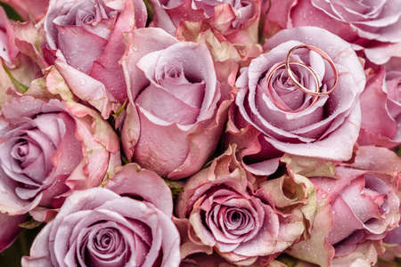 hands of young people with wedding wedding rings. wedding day details. calla flowers. spouses newlyweds groom and brideの写真素材