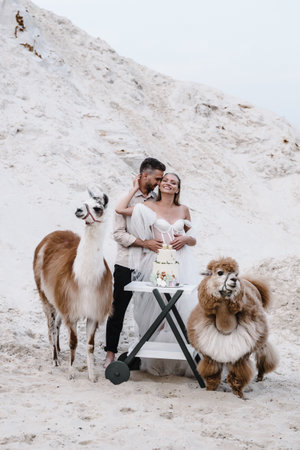 Beautiful wedding couple bride and groom at wedding day outdoors at ocean beach. Happy marriage couple oの写真素材