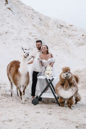 Beautiful wedding couple bride and groom at wedding day outdoors at ocean beach. Happy marriage couple oの写真素材