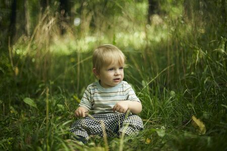 Portrait of a cute toddler boy in a field among the grass at sunset. A child walks in the park. On open air. Happy summer and lifestyle concept. Childhood.の写真素材