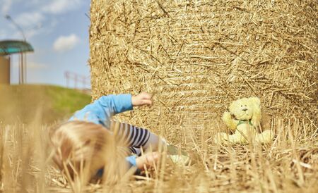 Springtime Portrait of a cute toddler boy with bear toy in a field among the dry ears and grass, hay pyramid and straw . On open air. Happy summer and lifestyle concept.の写真素材