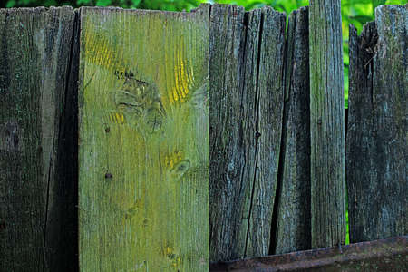 Green wood colored plank wall texture backgroundの写真素材