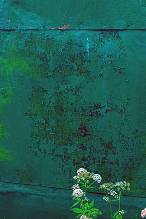 Ancient wall texture with patina or copper oxide stains. Grunge rusty background. Antique surface...