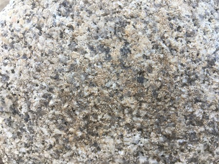 Texture for wallの写真素材