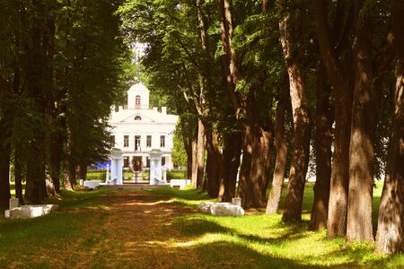 old church in the parkの写真素材
