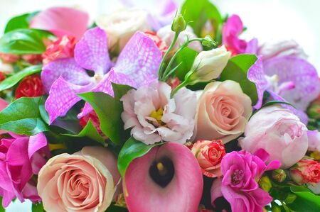 Flower backgroundの写真素材