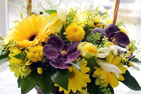Bouquet in hat boxの写真素材