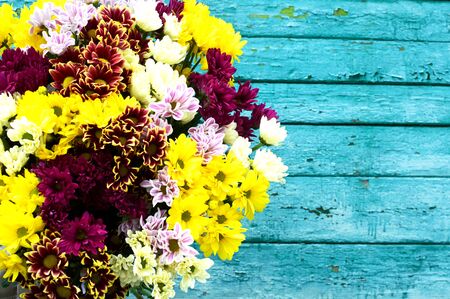 bouquet of color chrysanthemums on a blue background