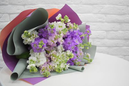 Flowers of  gentle mattiola. Concept of flower salon. Photo for flower website or catalog. Beautiful  gentle  background  for a card.の写真素材