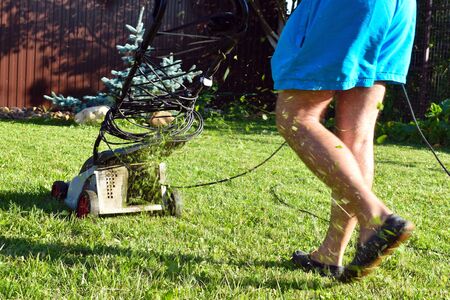 Working lawn-mower with grass in garden. Care of plants. Work in kitchen garden, personal plot.の写真素材
