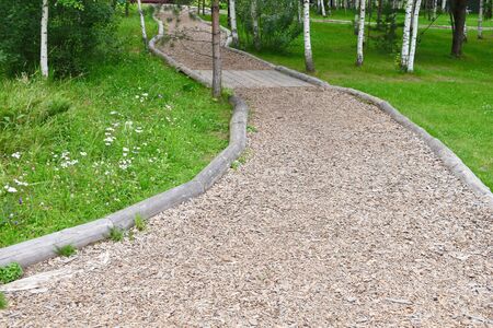 Beautiful picturesque footpath in the forest. Dirt road in a birchwood. Magic landscape for a backgroundの写真素材