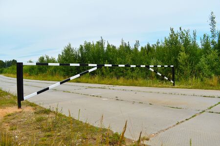Summer natural landscape with the road.