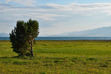 Lonely tree and mountain landscape. Magic Lake Baikal. Picturesque amazing nature landscape of Siberia.の写真素材