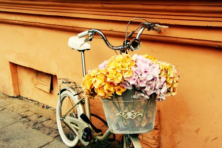 Flowers in a city park. Street decor.の写真素材