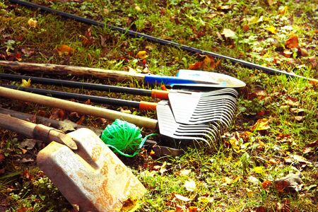 Courting a garden and park. Autumn foliage cleaning.