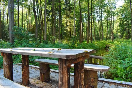 Picturesque area for outdoor recreation. Do-it-yourself wood furniture on the bridge.
