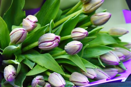 Beautiful bouquet of fresh flowers for a woman. Floral fragrant gift.の写真素材