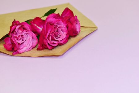 Flower in an envelope on a pink background. Beautiful floral gift in a letter.の写真素材