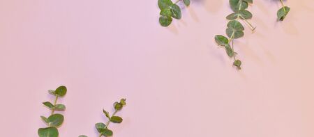 Design concept for a beauty salon. Green decorative elements with place for text.の写真素材