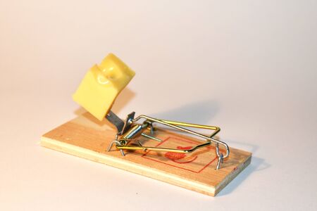 Free cheese in a wooden mousetrap.