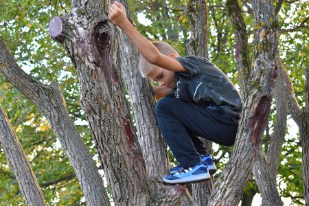 The little cat sits on a tree. Cheerful active vacation in the fresh air.の写真素材