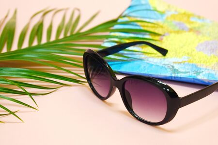 Relax in the sun under palm trees. Going on vacation.の写真素材