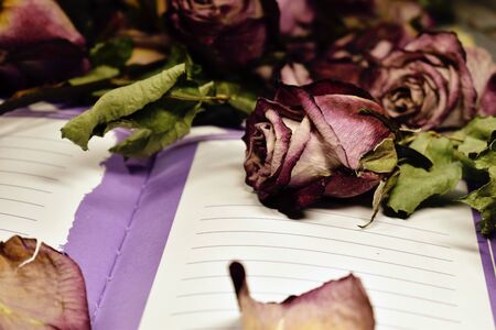 Beautiful lilac background with decorative flowers and a notebook retro style. The composition of poems and memoirs.の写真素材